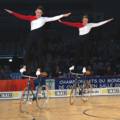 wk2003-duet-lenkerstand.jpg